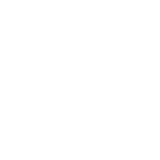 Miguel's Mobile Detailing